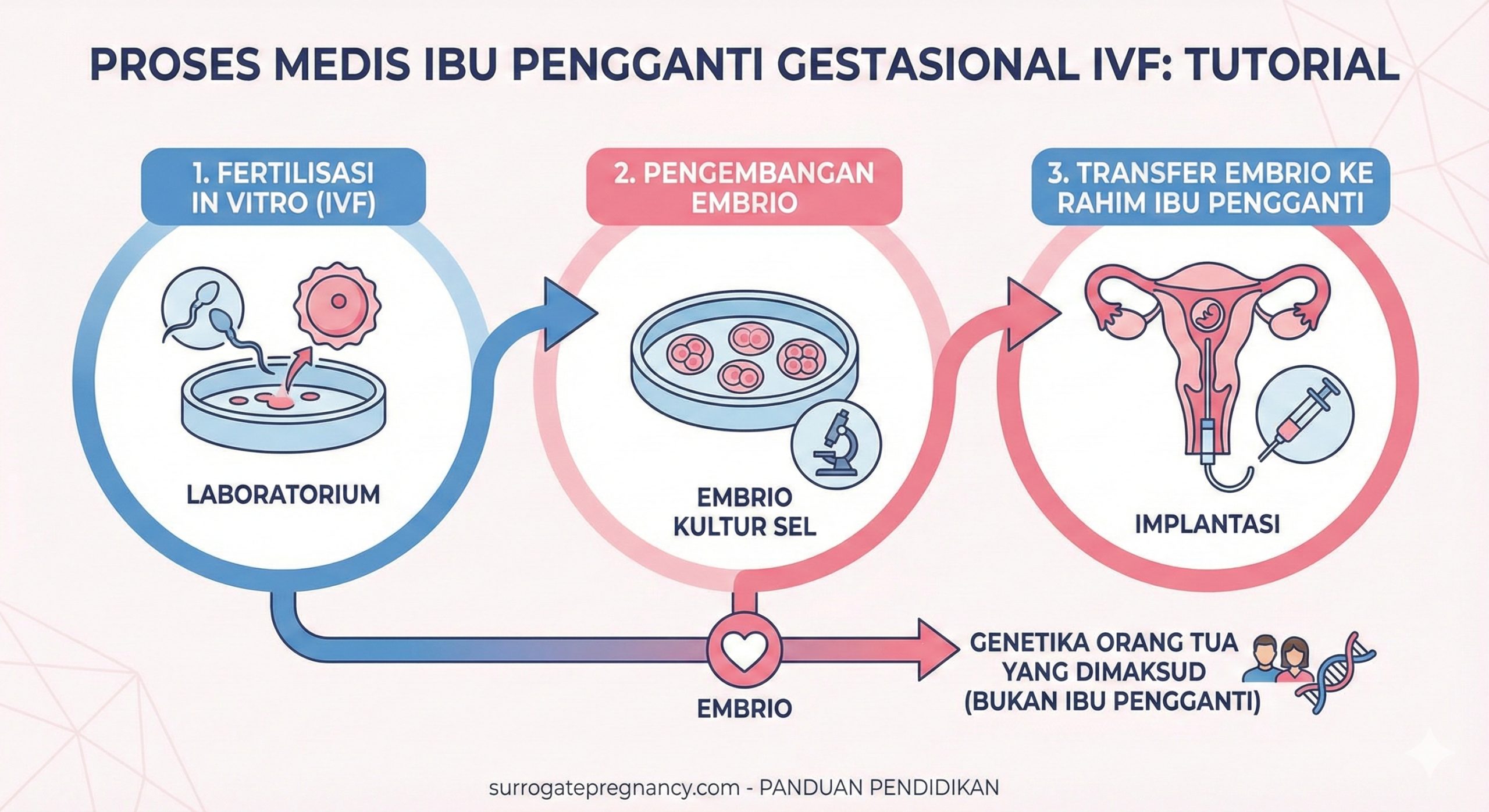 Infografis medis langkah-langkah IVF hingga gestational surrogacy