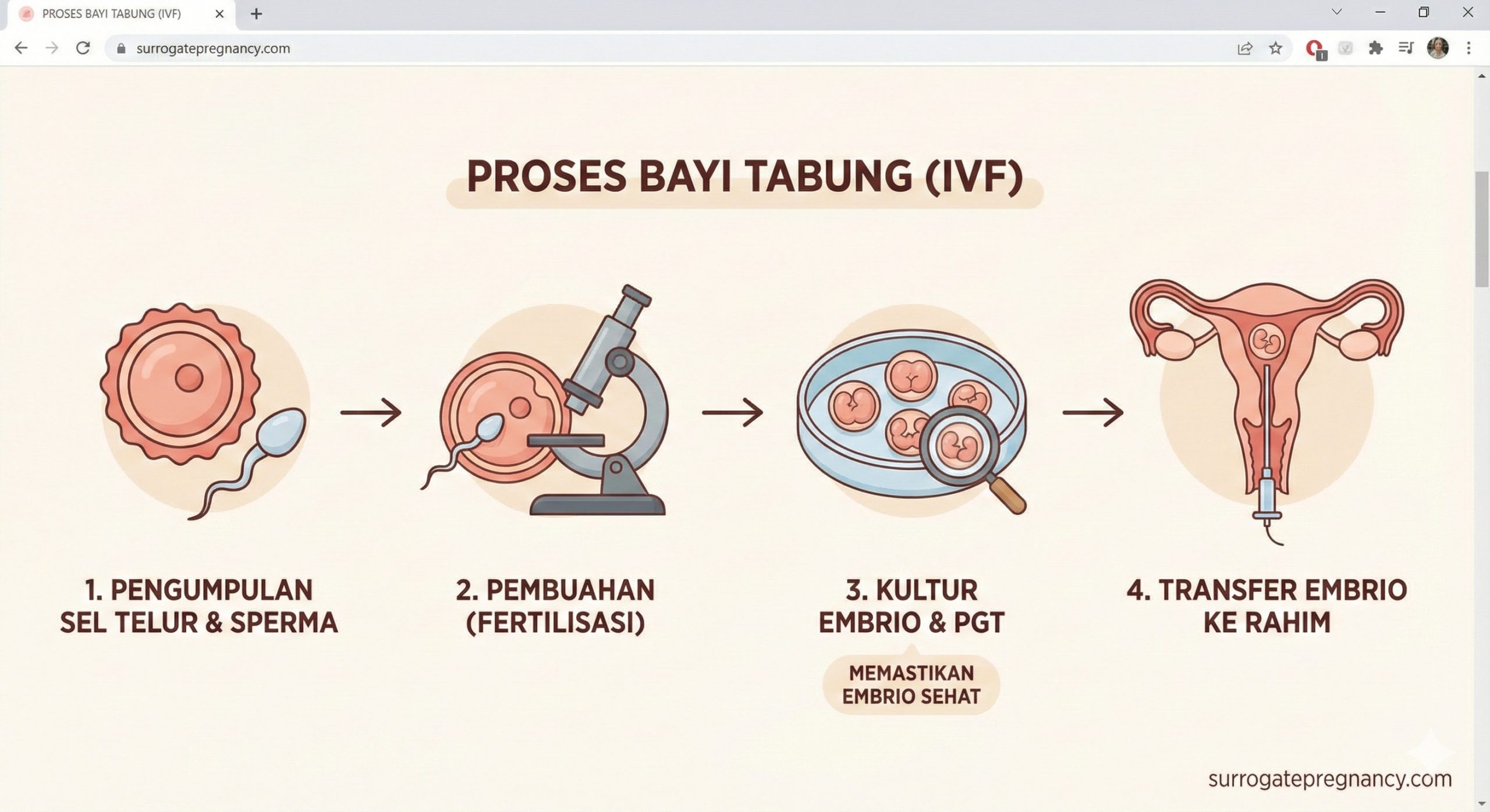图片应描绘体外受精（IVF）和胚胎移植的基础流程，这是代孕的核心技术。画面应分为几个简单的步骤：1. 卵子/精子采集（两个符号）。2. 受精（精子进入卵子）。3. 胚胎培养。4. 胚胎移植到子宫（用一个抽象的子宫轮廓表示）。风格应是柔和、科学的插画，色彩温暖，使用箭头清晰指示步骤的顺序。重点突出“确保胚胎健康”的技术环节，与文章中'PGT'内容对应。
