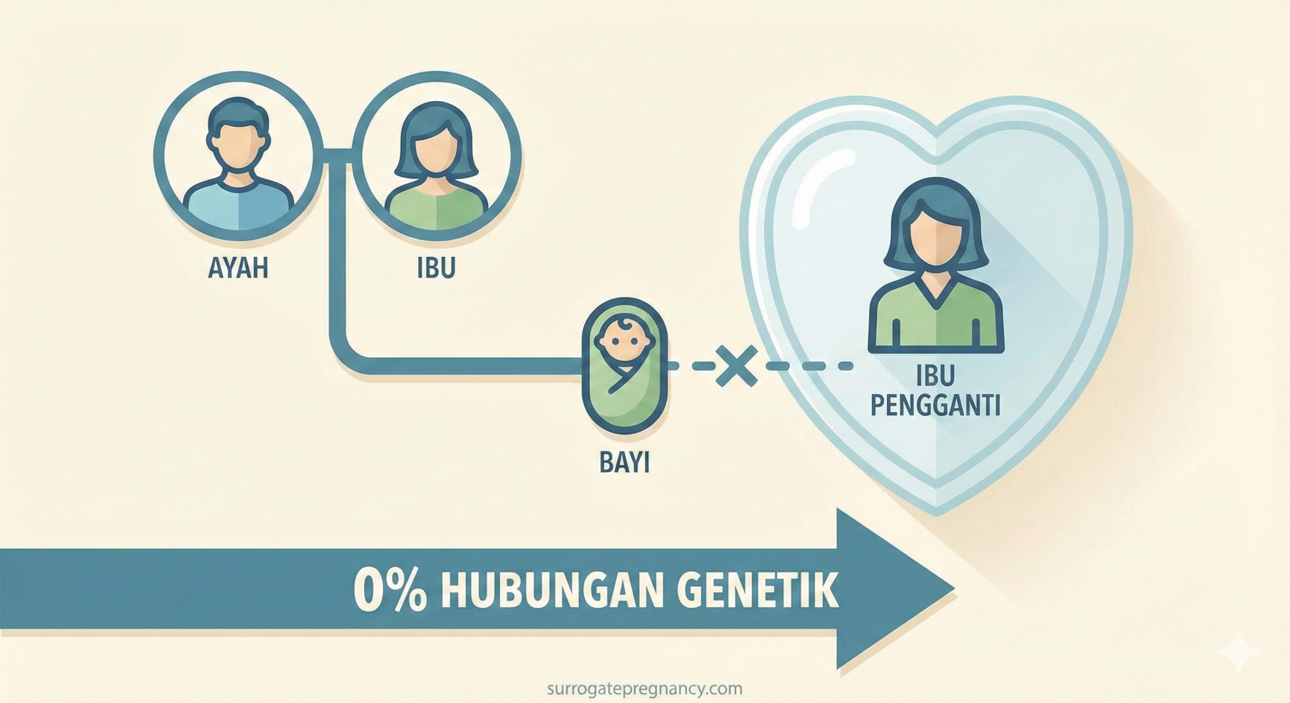 A clear, reassuring diagrammatic image showing a simplified family connection. It features icons of a mother and father connected by a solid genetic line to a baby. The surrogate mother is represented as a protective, heart-shaped outline or shield surrounding the baby during gestation, but with no solid line connecting her DNA to the child. This visually confirms the '0% Genetic Link' in gestational surrogacy. Designed with a clean, modern website style.